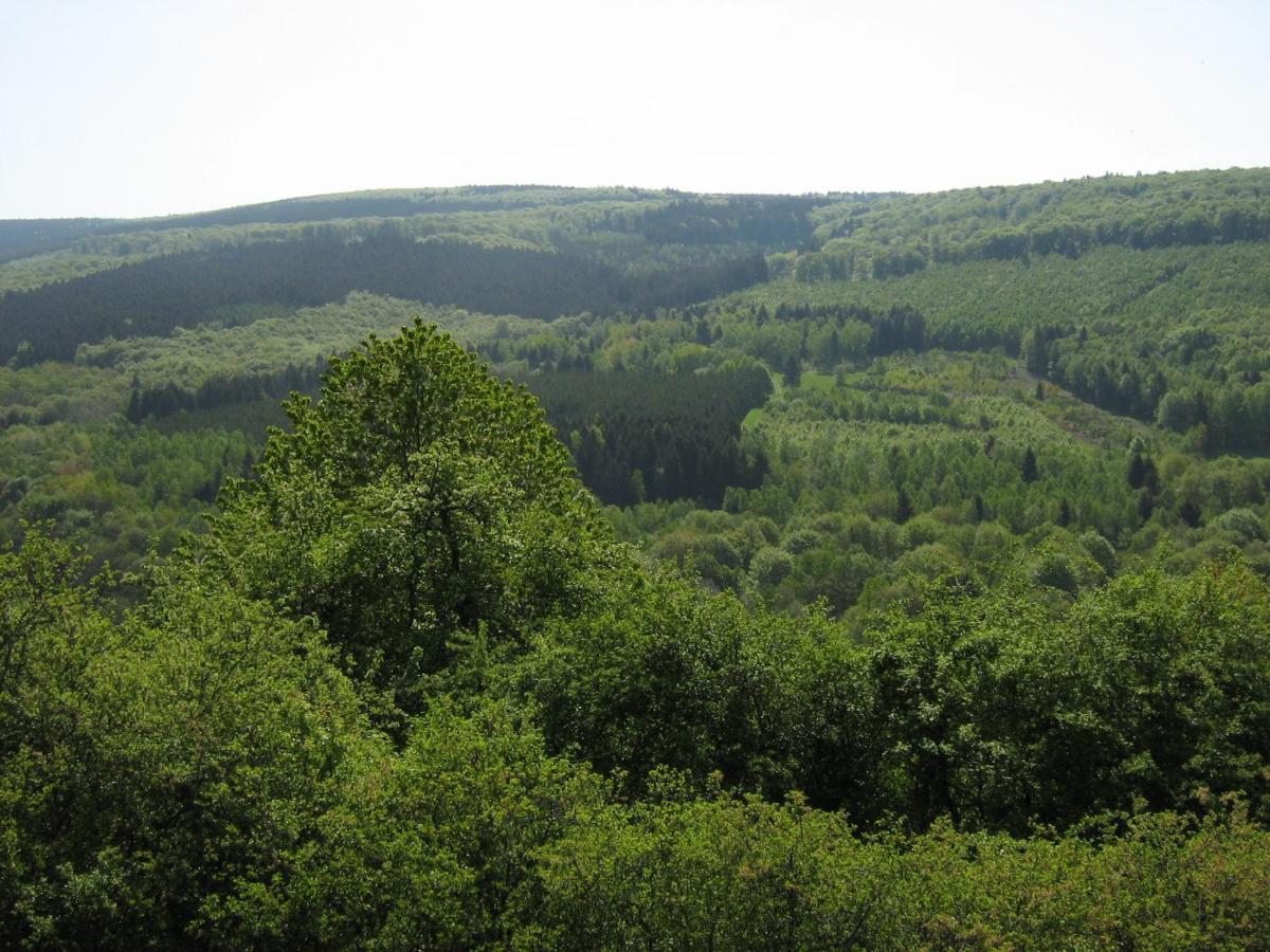 Berghotel Holzerath Luaran gambar